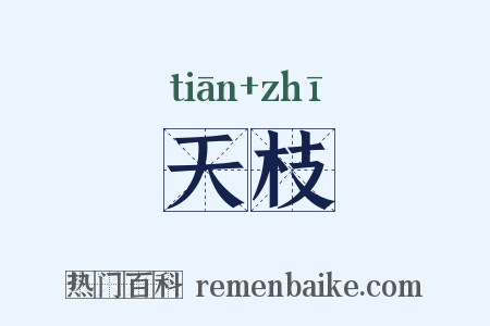 天枝是什么意思的图片